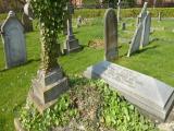 image of grave number 229851